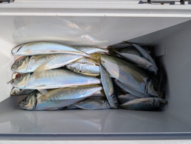 PXL_20260308_032606286