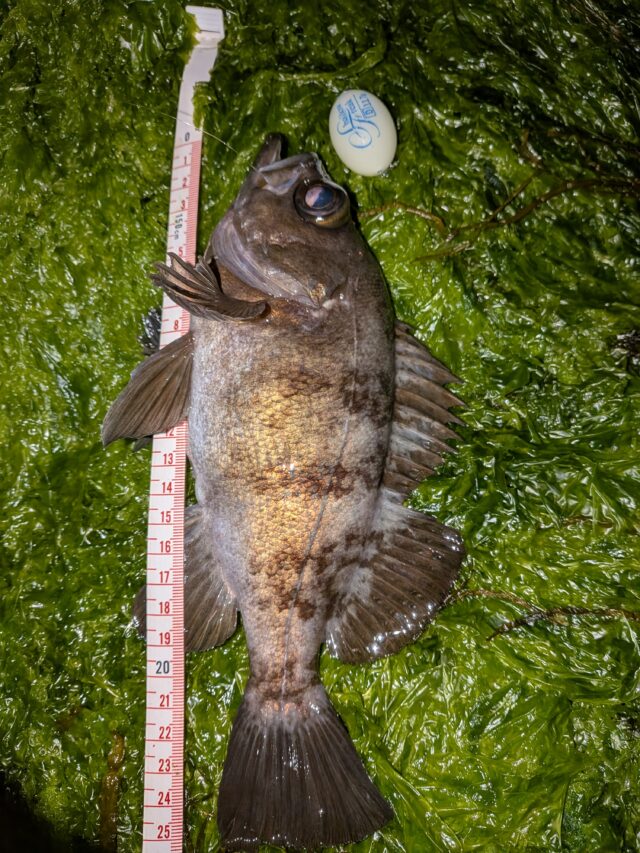 PXL_20260315_153837793