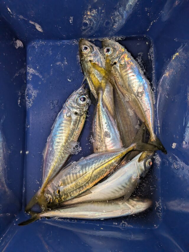 PXL_20260326_144811271