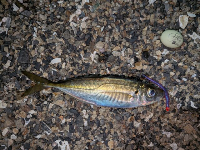 PXL_20260326_145641325