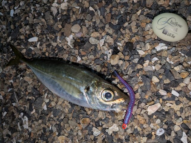 PXL_20260326_145653231