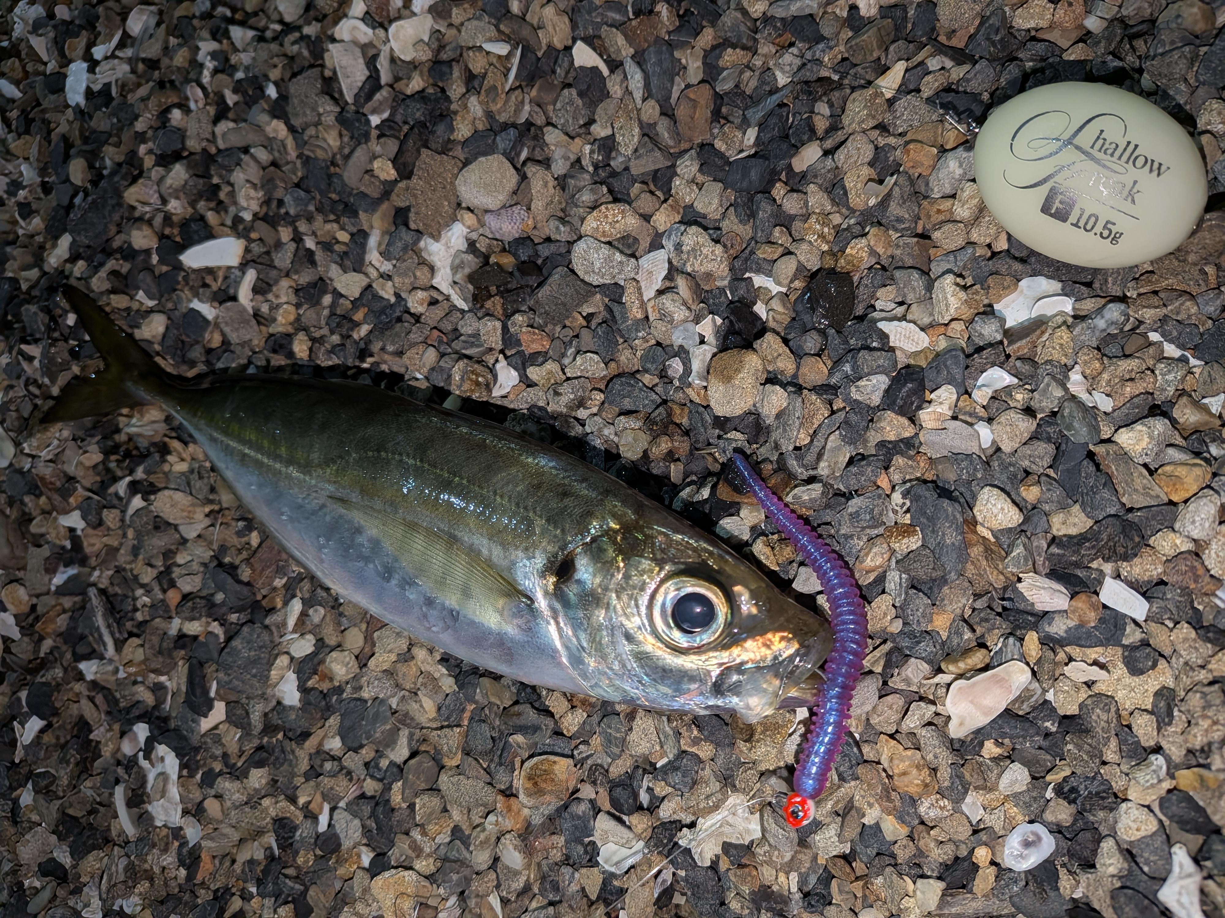 PXL_20260326_145653231