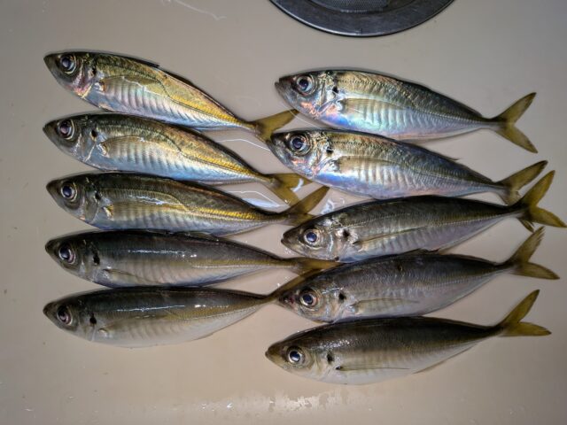 PXL_20260326_163552014