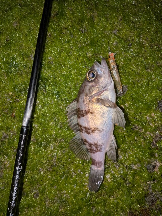 PXL_20260328_131820203