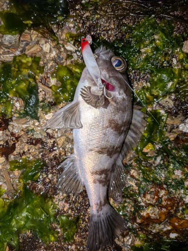 PXL_20260328_133653790