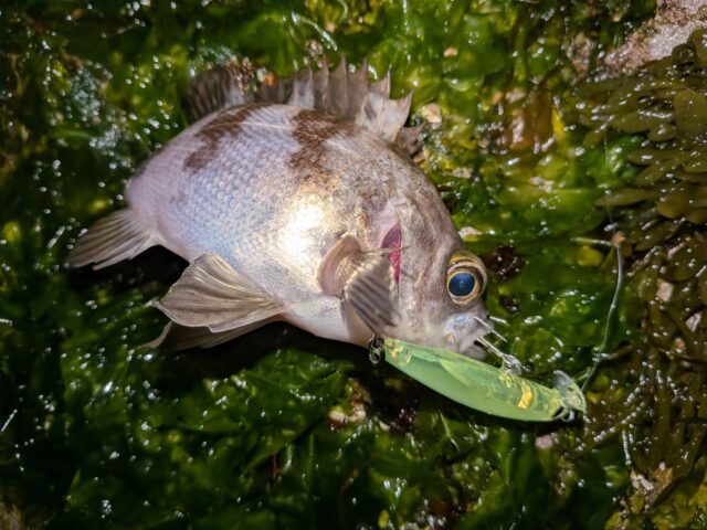 PXL_20260328_134702862