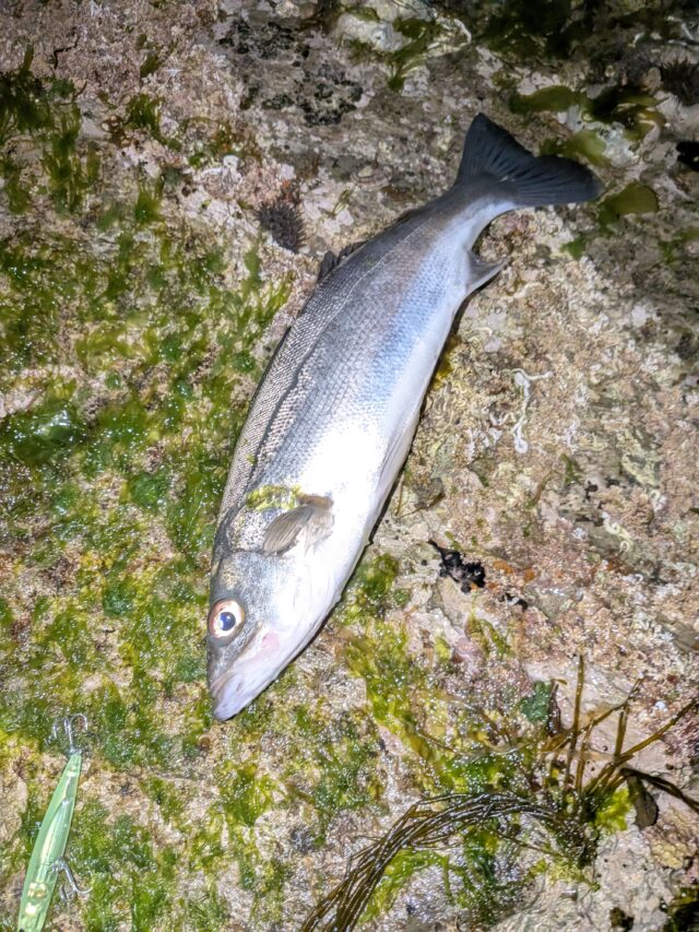 PXL_20260328_135450399