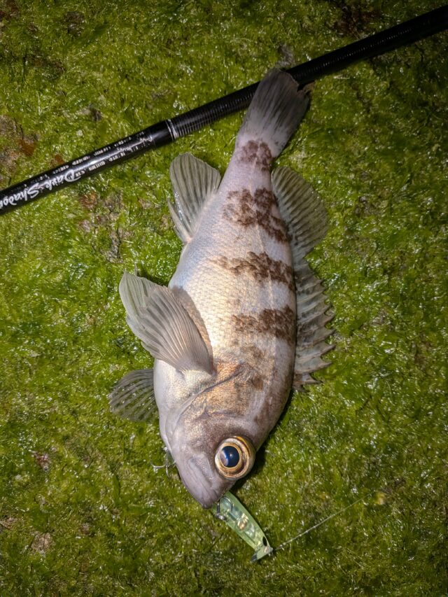 PXL_20260328_135741166