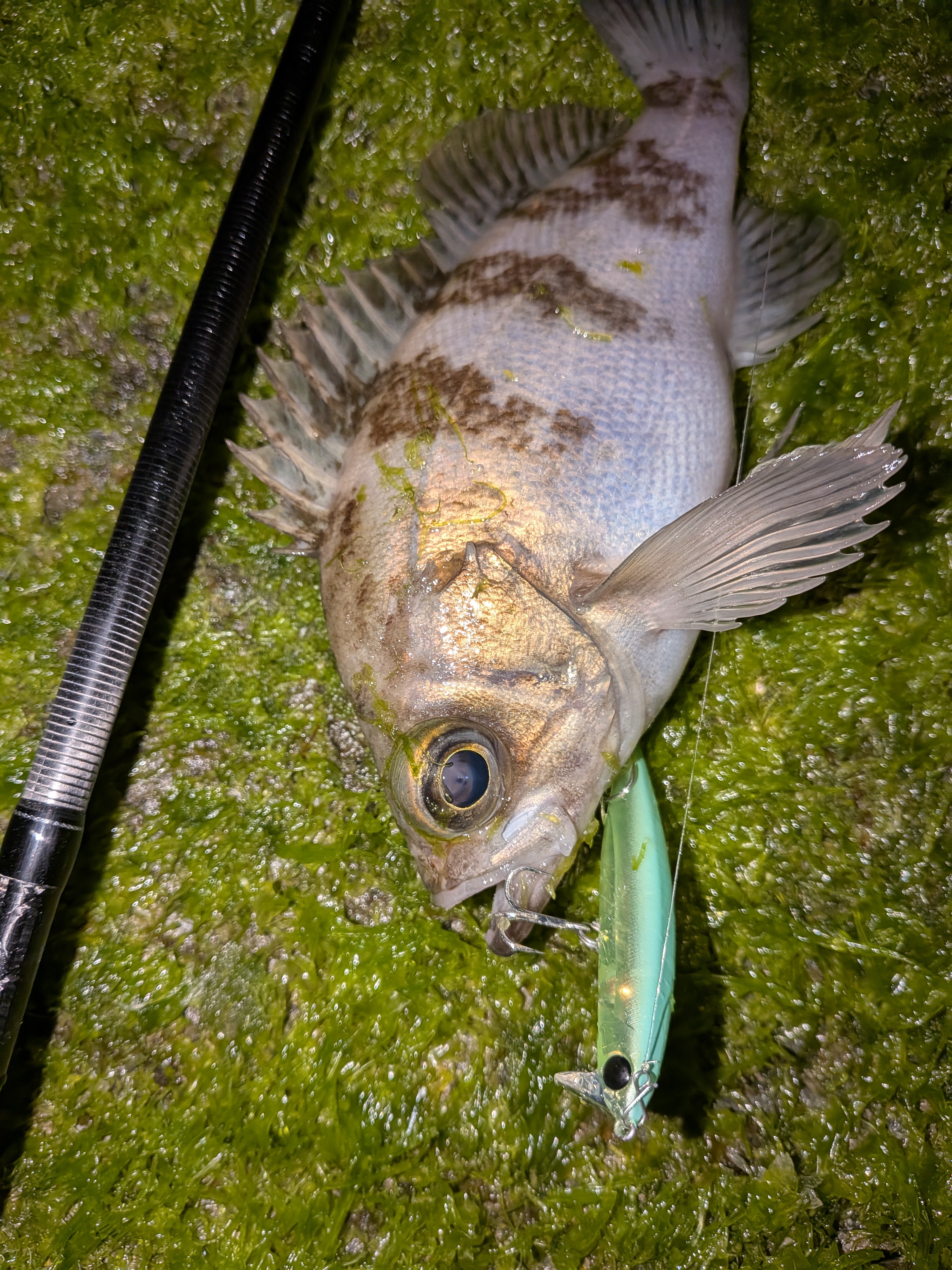 PXL_20260328_135759152