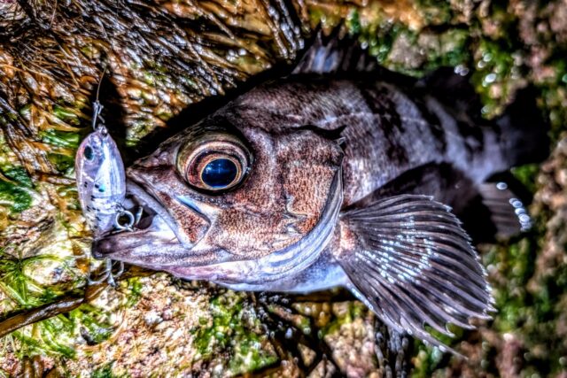 PXL_20260329_122031174~2_copy_1360x907