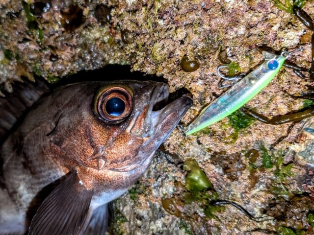 PXL_20260329_123821662~2_copy_1028x771