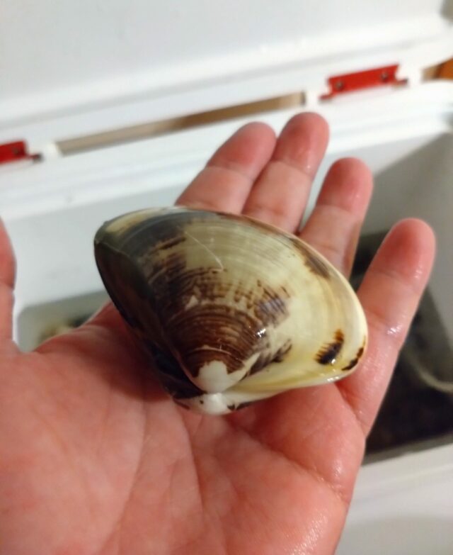 Screenshot_20260306-063723~2