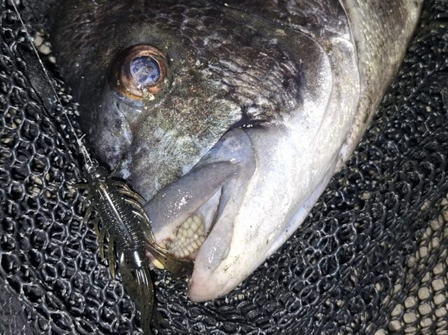 Screenshot_20260330_200228_Photos~2