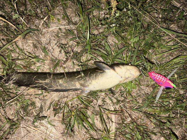 XbRxFmsg7hd71AAn43j8viZNn_7zk9Lk0MCS6JPhrgmvX3Ozs1XYdLGtpnY0kA1qebgD2xWaOObGMUA2icy7s--O3AUAgTyRxROM9SuL4CsAcLWQPqYHbEW5e0nOUke2OObrIXWDvj3wvVZWXR7TOg==