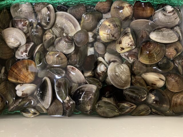 czbtf2HNFtM3LuQcezld8Xg3LOCC4cuUN-gy_88eaTqwr6S8B5LvnmXSCBCj7_XteAmOGcE7rrvXQZbI4m-r63PkaVnaG-cUTiwWtMA15DVUtfdqhxrWATcoiBh3kS70QQq1-WG3eFy_I7uXKcbEYg==