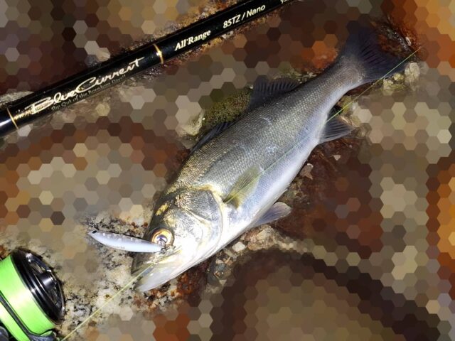 fy61WDvq8XgWyrlfeXPiPfJ7eLWxbsyA9V_-dphqERApO0wFSgJEchs3CggrdfxvSe_NNCWe9C-7gj8WFkCeljG6OewVIkRv4dujED4CYfyrp7ckukOSLraiP4t3LW9gz-l8wzGQwHLkU5ioxg2GJw==