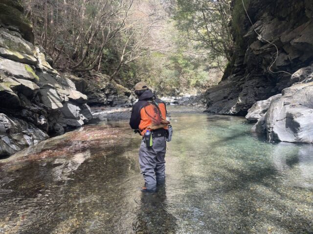 line_oa_chat_260311_122440