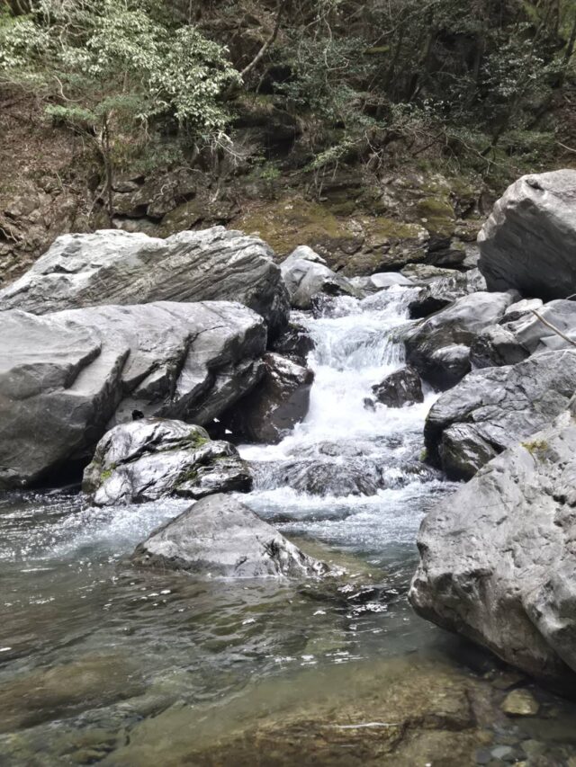 line_oa_chat_260311_122450