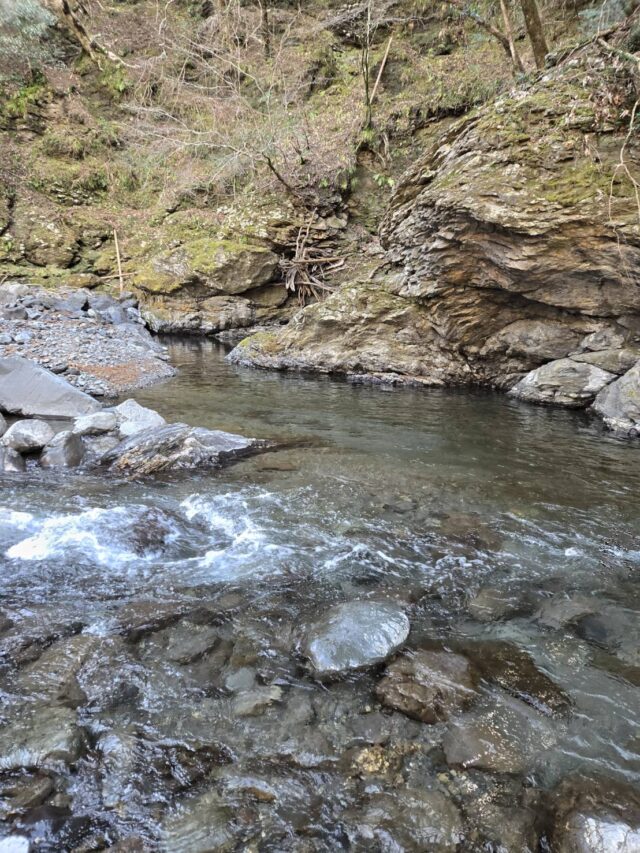 line_oa_chat_260313_111730