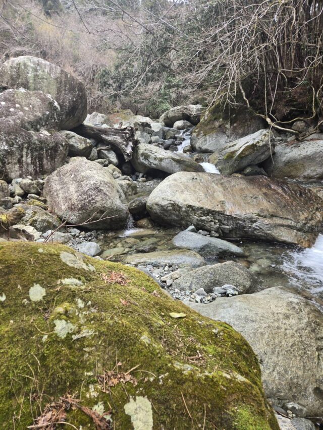 line_oa_chat_260324_100245