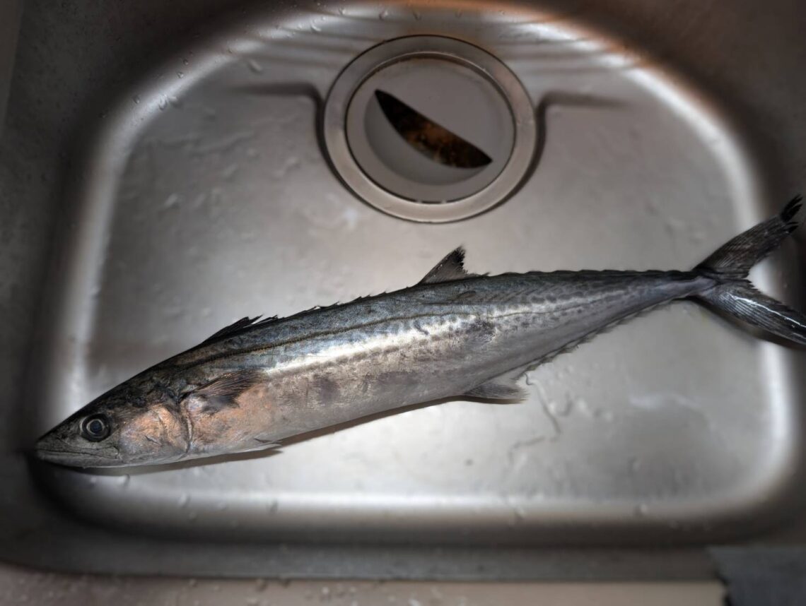 line_oa_chat_260325_164559