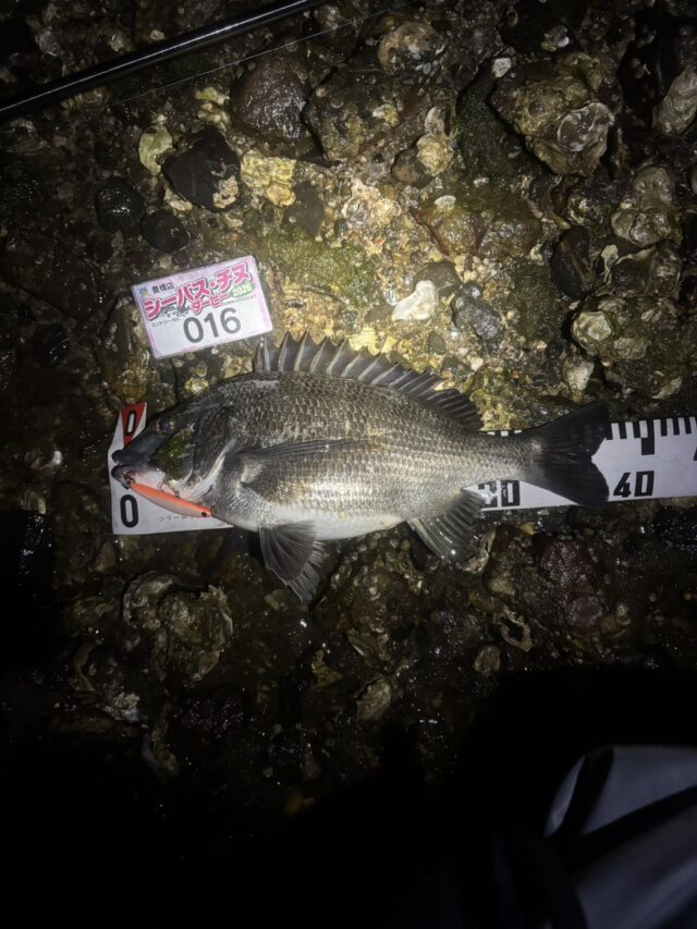 qGZPHuBc5r_NJNkY7KrF3adftYdNyG23XB_S2Kgah3iyj4mOr0yk4MVVeLrw3NInwyDhhpFxv0Gk2ajRegbiOlYqEXROXfGHodjs7F64EYFZXyr_hPIjRdKwQNltsKGvhQ7XXNlMIvOKyR-Uke5ipw==