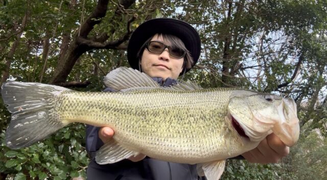 vJLFTsPkvR9z26zyHY4hYH5LH-M3MkaD1LB09s38098kzokMq5LV_mfHz1ZpXRk2y8zXebAnWtB3oRc4nJl133JbYavIIhA4WawVOfTmX-XmCrzOZJg1uzyuyej08BXTQQq1-WG3eFy_I7uXKcbEYg==