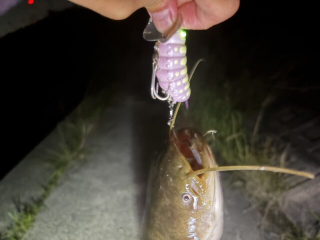 18PLvTFbZMExRcpxv2sI3lSJ5W78SBDX1niB3NK9HWm8ndJumhs6fbYQ9kw4G3GrIvDQA8zxLksb_AbrP9AenMVAOUmwMg7MXLRLlsveLFR-dPOM0P6W6pKTKLF48HyjhQ7XXNlMIvOKyR-Uke5ipw==