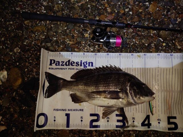 1cH0F58m_PLzYm35RxdCiDEQnBxbH6BZq39_e4kxTzuA5fP4iFlj2LvZcDdlDwxPyvB8w2gMHx7JRZDisde1mxX49eT70Qo7RuYUgTL8Jvw5raX-TW58zWrALDmWkKo8xjd32DvNFM_jZ_FnFQeU0g==