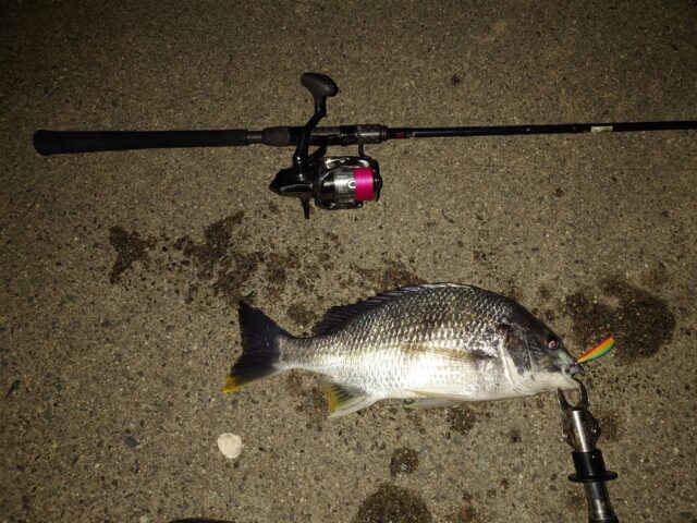 856Ri0lriQVIrF-l5tdoCiee5Bu7QhrvffKzxzgJMpN0NjYCzpE1sx5ytN3A8opm97OyWppIKM_P46QPuIaZGANW0DDOzSA8oiJpxbDd4UpJUcm7VlTDdPL7phrUQez1CPs1Dl06N9VAVlxHgFo47A==