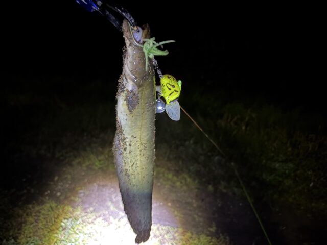 DDOLy-walL_mEAceQ12yEHojyR2con_tjIvdXa9cNrBumfRZhWGZhwo2N_17jNQxWyYwUZyW0O3mzwobzulO5hcvn6rUpHceYnRcmZ-6cnCijK2FjGJEHbHR58KS7_FKxjd32DvNFM_jZ_FnFQeU0g==