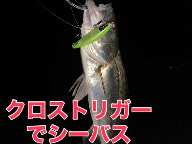 DS0d3wrUfSy4GzDJbkXLgqPzCap2jHbrB6imG8RA0MuGRedoVgdyiw5du3RuLZH54zZBm3JgKu8ZnPETtgNMc7KPHBFAv8fZaExGz5lP5HaLtYEDVKw9323IlVnl4iEOCPs1Dl06N9VAVlxHgFo47A==