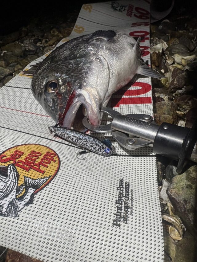 EGtJffA8IXCa-Lyc1ZUN9mjav_i5FploKc3TNe0hukmccVn-BEb_zjv9XASZX9roZAYaV704y1eLN9SdU7CbJu1BjiaM2YypMmeZL10KPF2_vtEDXkqLc7qN_t8UjZc--Y6RmCFYWj9R9NUu3GhWkQ==