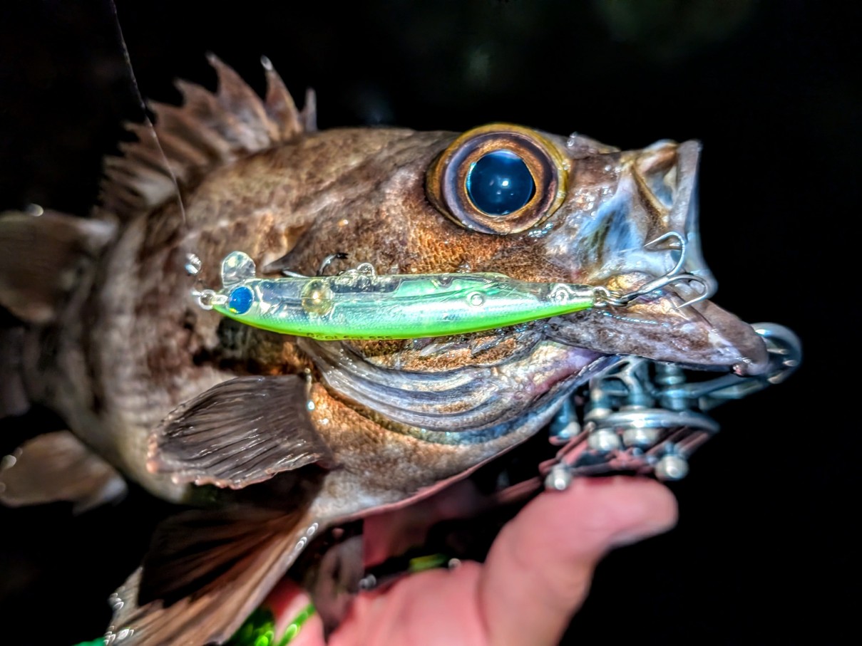 PXL_20260404_160305406~3_copy_1209x907