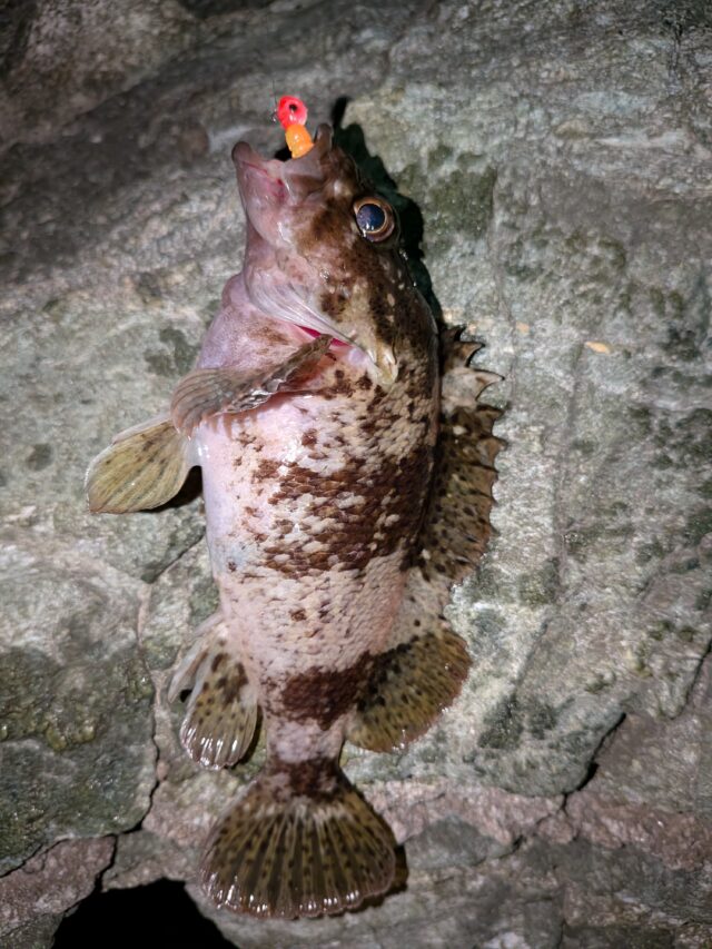 PXL_20260408_151621492