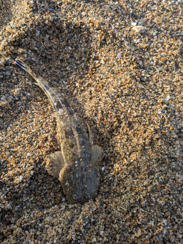 PXL_20260410_215231744