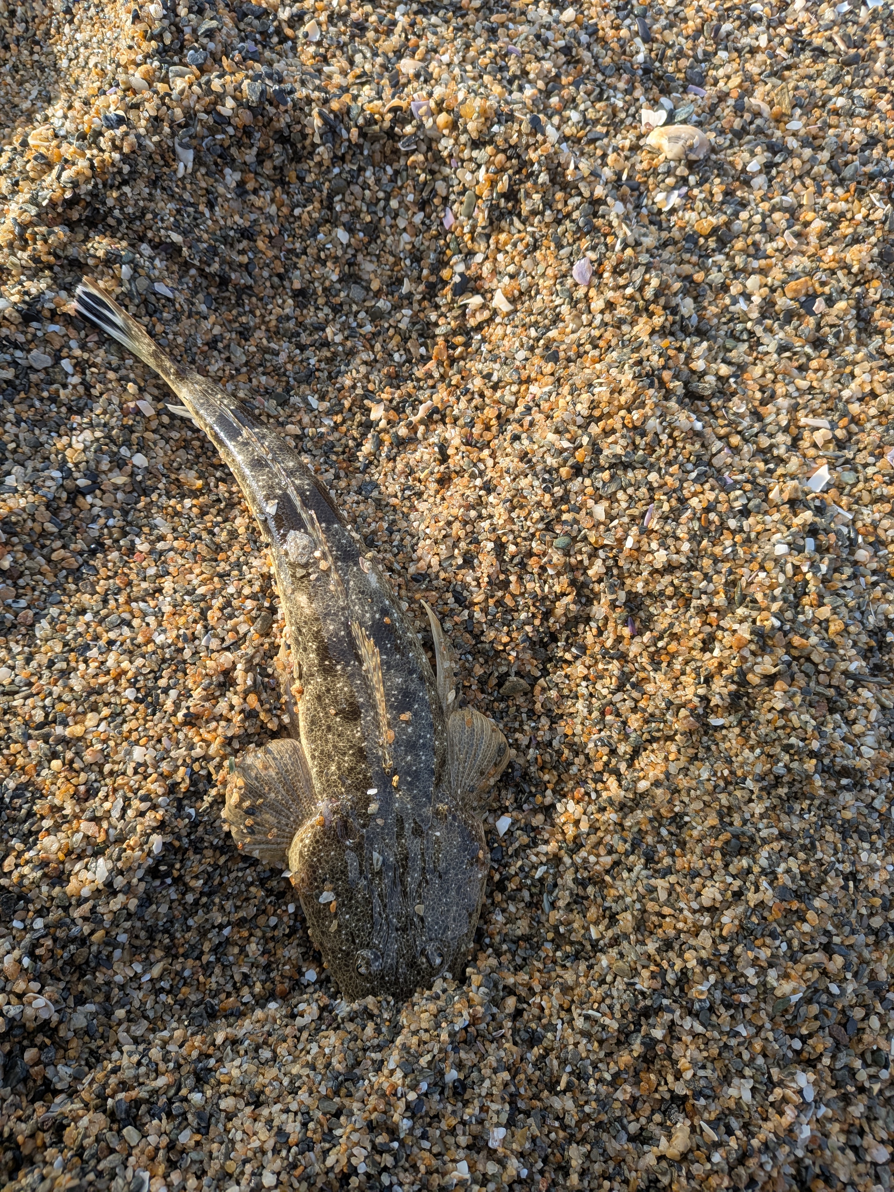 PXL_20260410_215231744