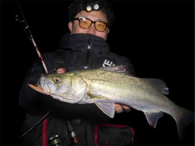 Photoroom_20260409_122242