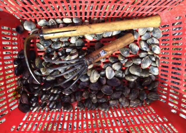 Screenshot_20260402-215334~2