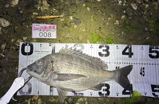 Vg4-_0EarVn-qvuprge2hfX4APhGwNfmvcN21gaFvDjcdpudcf3QSkVeBIPp0lXzjA3rlMExxLdSMBOBfFW_yC3u4MZr3NoBn0byhaFVodQL1aDw8LYjKtWdTGtrUrFdr6fRbKROf4YksHppMo5QDQ==