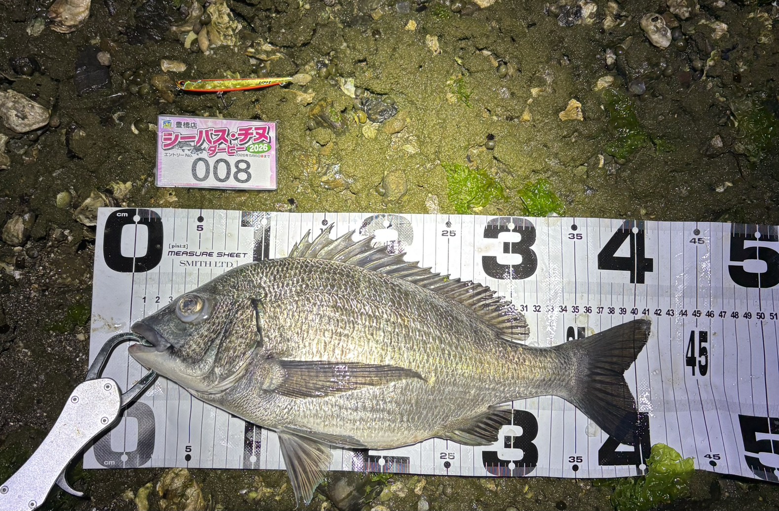 Vg4-_0EarVn-qvuprge2hfX4APhGwNfmvcN21gaFvDjcdpudcf3QSkVeBIPp0lXzjA3rlMExxLdSMBOBfFW_yC3u4MZr3NoBn0byhaFVodQL1aDw8LYjKtWdTGtrUrFdr6fRbKROf4YksHppMo5QDQ==