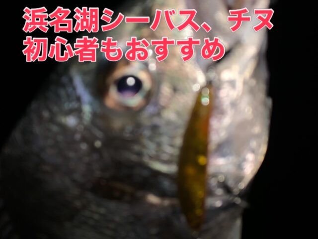 W64pDnZ0wcQi-J0zJW5Rr-R6EF5s258sOxZezwT5m34HvZpEAZTAuhdb1J8wOR-ED3F8eArJwzatN1-dRaGccmc2mTotCARQ0DPmYrU5DwoVQFwbDa1IwBtpBcmwLpNEkCPUNF5rJUTpUxwFl42Qjw==