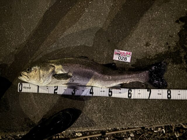 YBmkI5iCLAJaocNwPmC0eL9epPH8y49UEYJ1e7WD8-GdDgwTF26ytw-xfp1a-x5reOd9wBhfIkjFdWrRVaRouKt6llmu2HALaYOpGW3lZyLyqDO9J5tYkDhxet9GyeQ2-Y6RmCFYWj9R9NUu3GhWkQ==