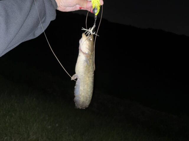 aN1p7y9QPxy8fLnHO2VYPgcR2Hh-7_XQvWvdVWQAmeVVb2PlZI0tOnIVUP6wmBBbeubotX-G9fF5xybWkwER70MTlRIIk1PieRd1WEgKSVcd5mtGDmoMp1u3cmXQmqT4z-l8wzGQwHLkU5ioxg2GJw==