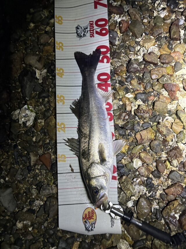 bhimDZrmDCedxtHTR2B-Fd4uy6ct3voAGDGO9CNv7ufHp-rp_PBHwTAmYNDOAVO3q7oLegzQKDPvngMLBzfD6e_d4o1-ph7tTDTMgLYYQ4Hd4jXyo0h1cqf-M1StIVLHkpngZXezwyv0UN-p8nCI8Q==