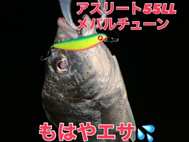 iR_g-gfHXQM5iUyxpLB3sdcXhTnDqzMMHqLvR7hWuK3dMvSFAx-sokPS-IxxEvVmcgh28fowsrL2AHNu6fnwwpWWKaePWa7pySYg_a8vDmDgMm1KBAExjAmUdviZb3BKQQq1-WG3eFy_I7uXKcbEYg==