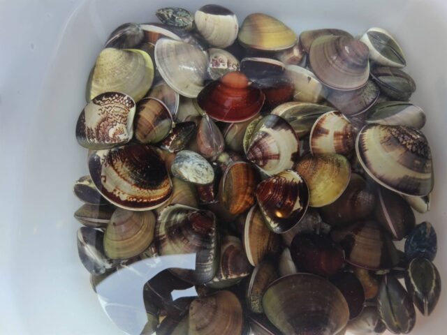 line_oa_chat_260403_195805