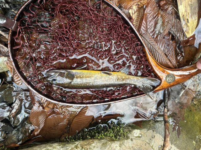 line_oa_chat_260404_180751