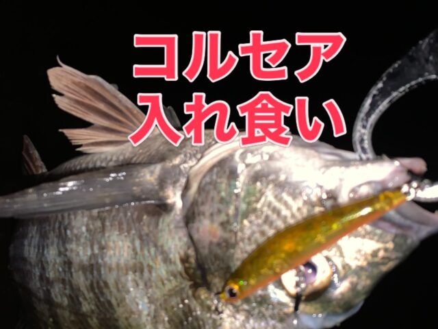 s67JI1UYImqSuVIjDMNLSkEqjBEJWFxXqKzT4koNY0klHhH0HnfLii4aVjR0dBRVieWnPX8LK0nWUmTbMRyWqkJLEr40YJtyfIlWYaArHul-DokBB88G1hfqOTYKT8p5yoEYSNdl5TIBu65cFcBv0A==