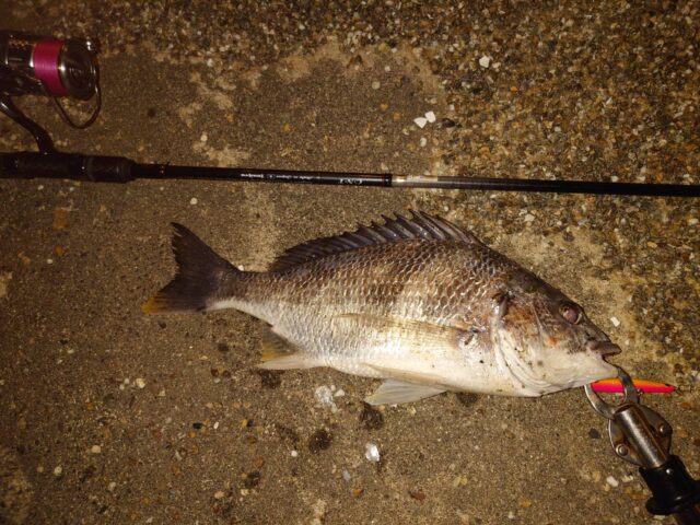 xRGFHjoTIXFz00aWIp-FZjFtZHrW9jYB6A05XuzTk0WxzxOuiWX2AMaAOihe00gKNrZ2H06iee-3rjae3_7Km6FJHYBiFB8G8rtOPaymHQEp6GtxgxoZRg7gEmEgREt8CPs1Dl06N9VAVlxHgFo47A==